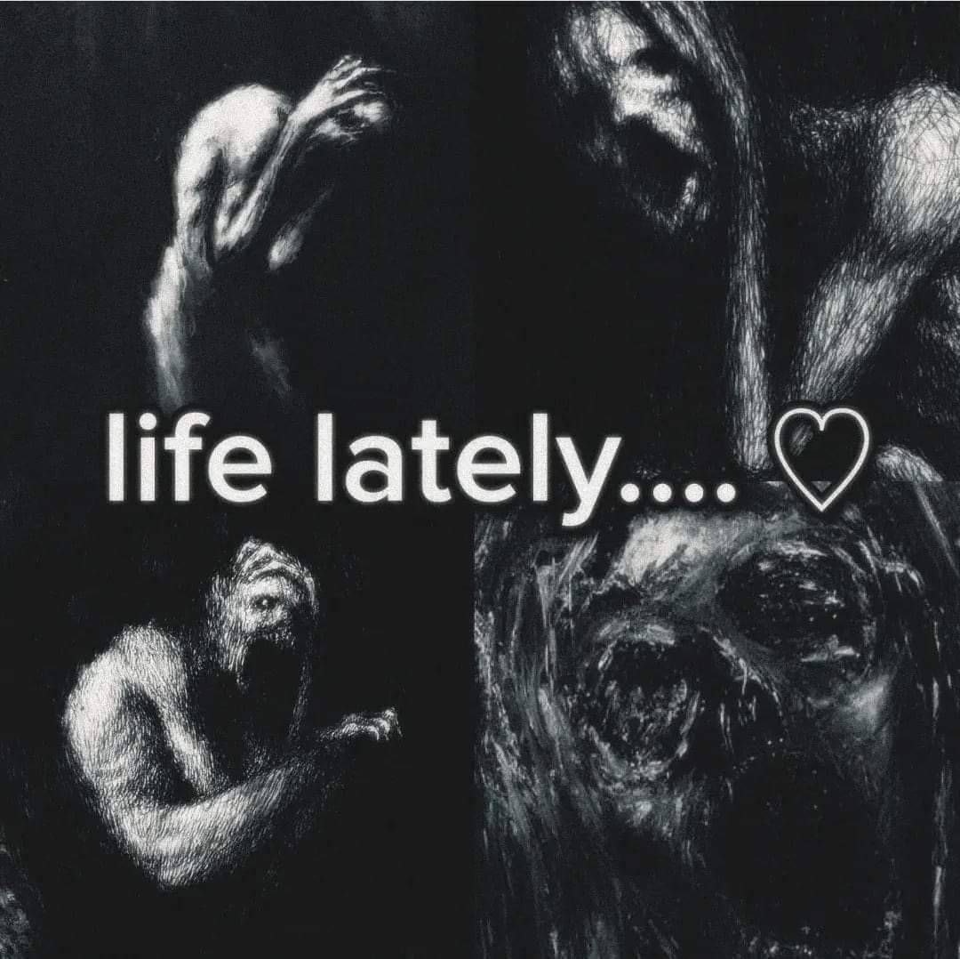 cdc900d2-af19-4dca-9a61-667e77155179