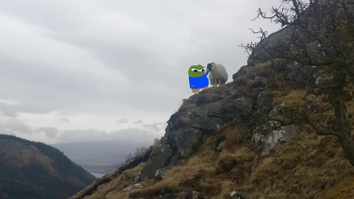 d9f35cc6-df20-41a0-b828-fcb2d6c7f1f6