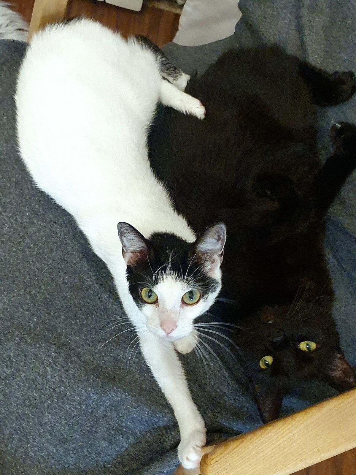 10f6a980-b628-4850-926b-e478b69970c0