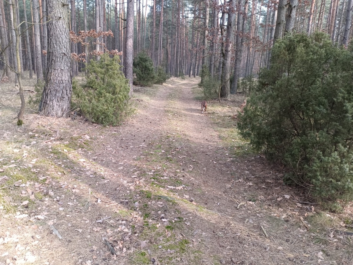 f662dce8-8c6c-461a-b497-709fd154c946