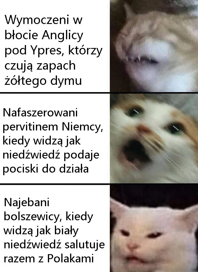 adb47d23-4077-4f0c-a869-b8fa7f27fc95