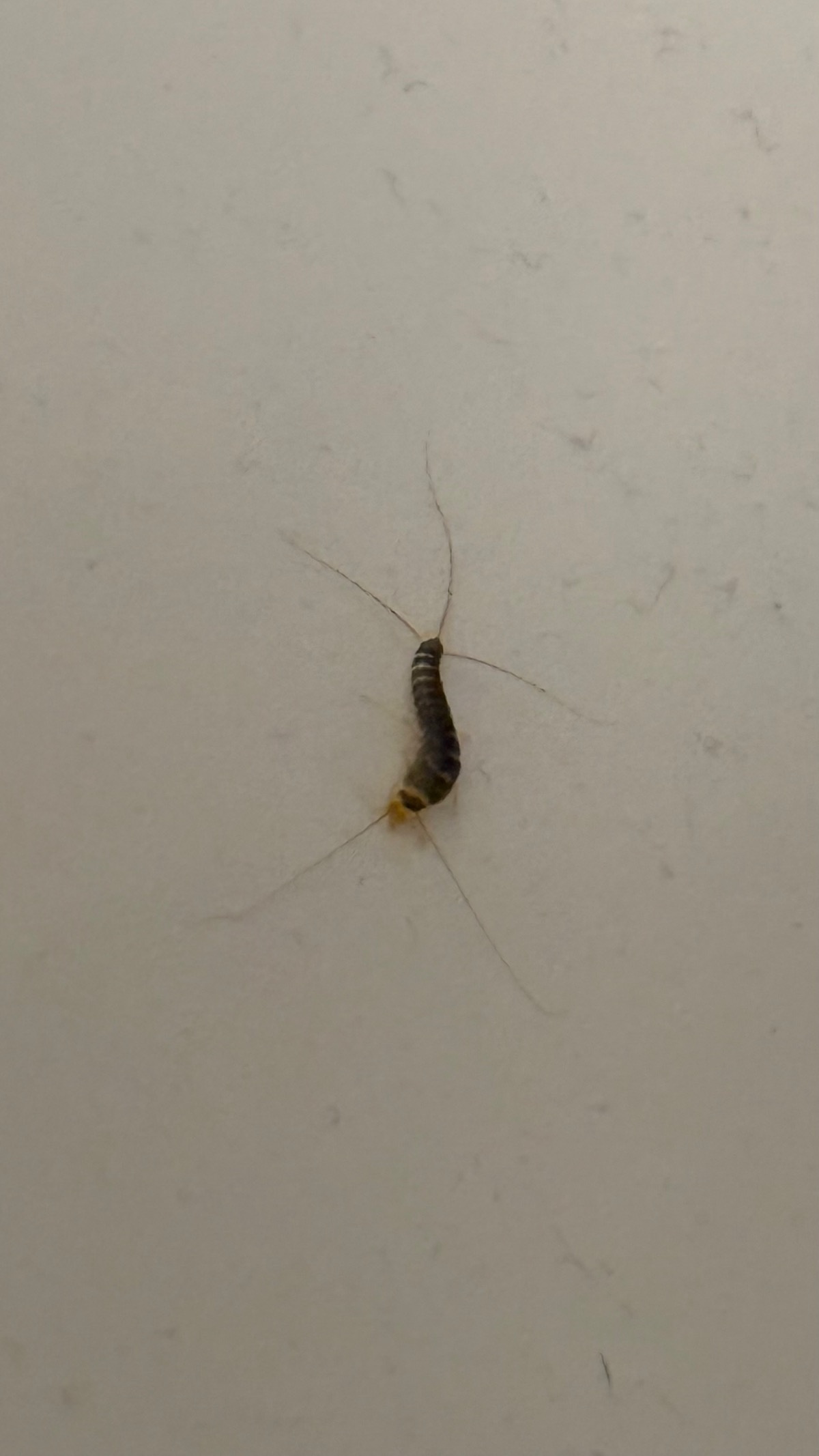 eb85a799-d150-4575-adfe-307f81bd6cf2