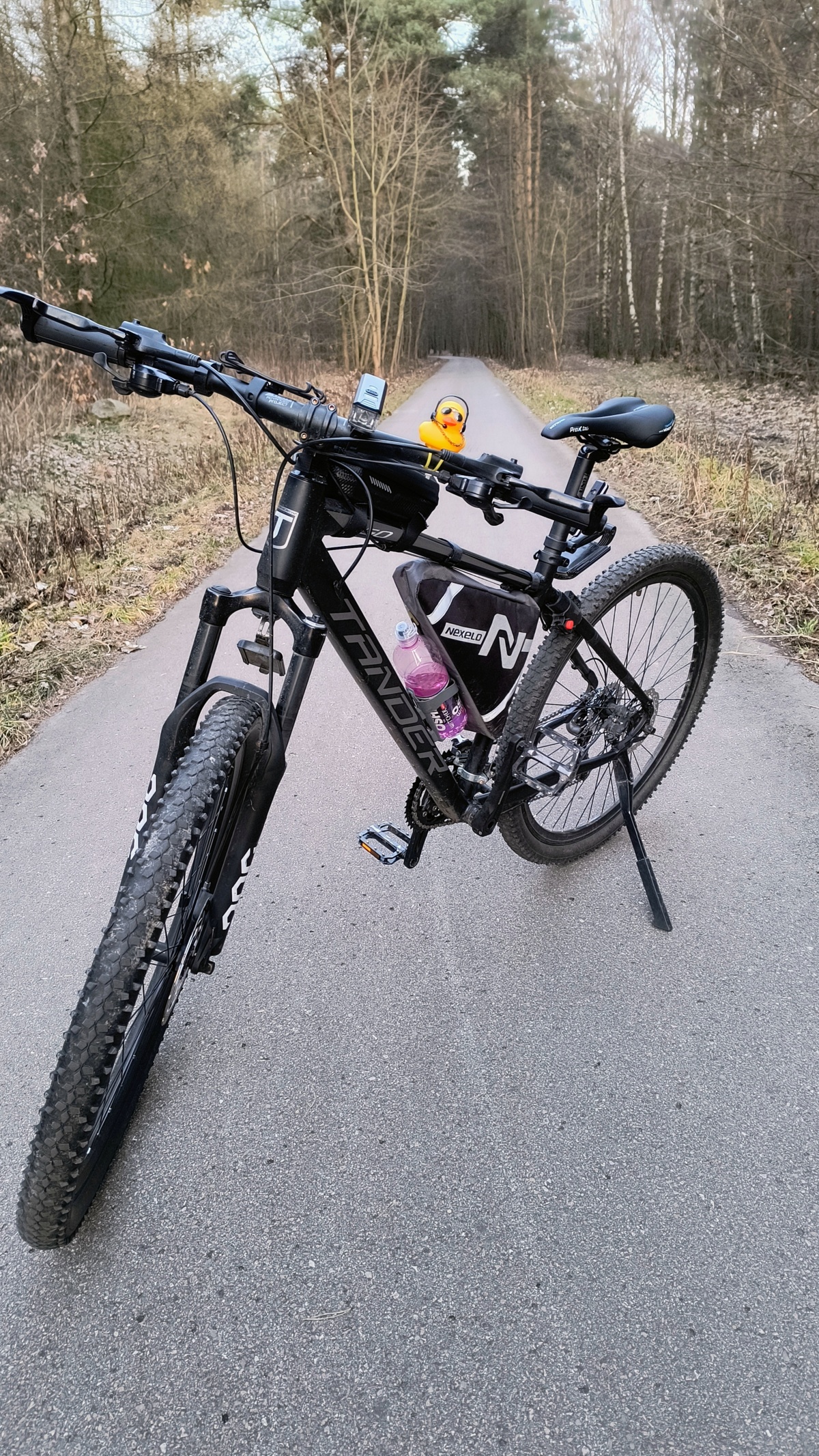 ee2c066e-e3de-40b4-a77b-d65b4df44110