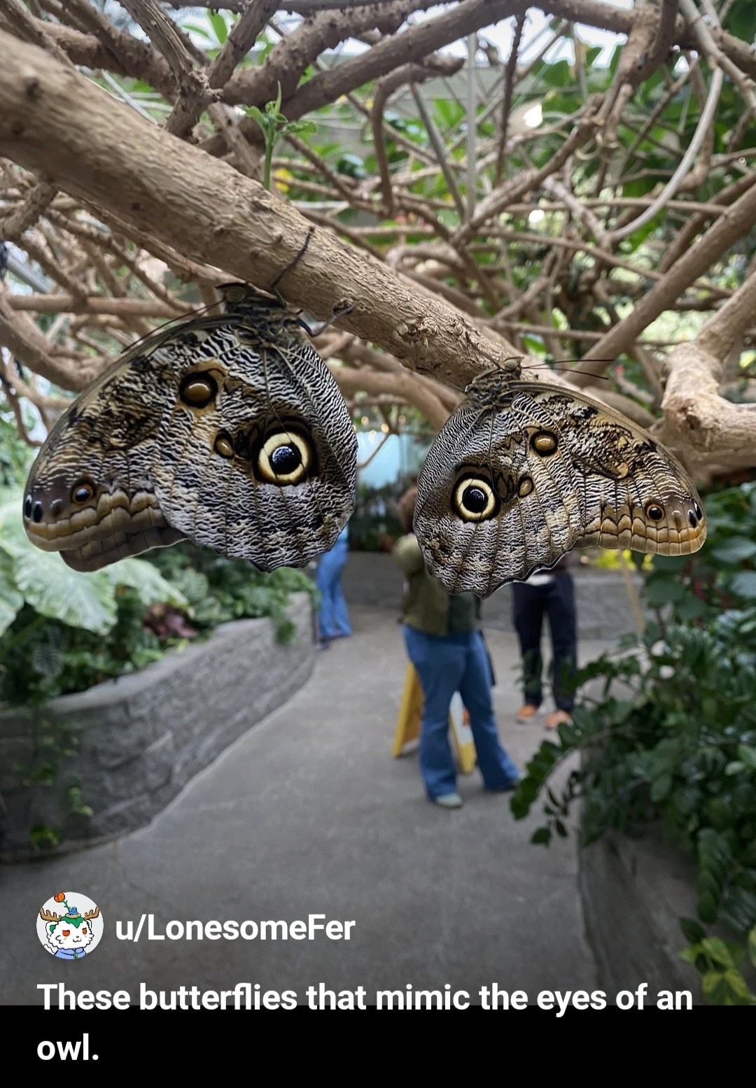 3a98385d-bd7e-427a-9919-23adeca7873c