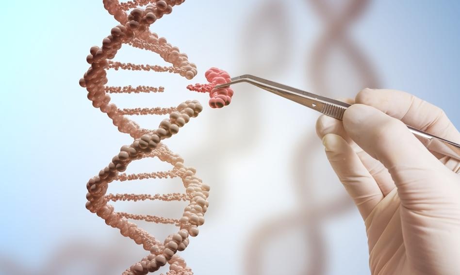 Bankructwo medycznej spółki. Badania DNA 15 mln ludzi mogą pójść na sprzedaż