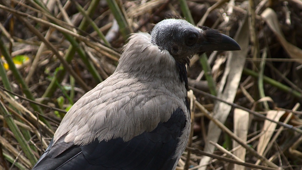 5514ded6-23aa-4262-8dd9-c88b3f10c44e