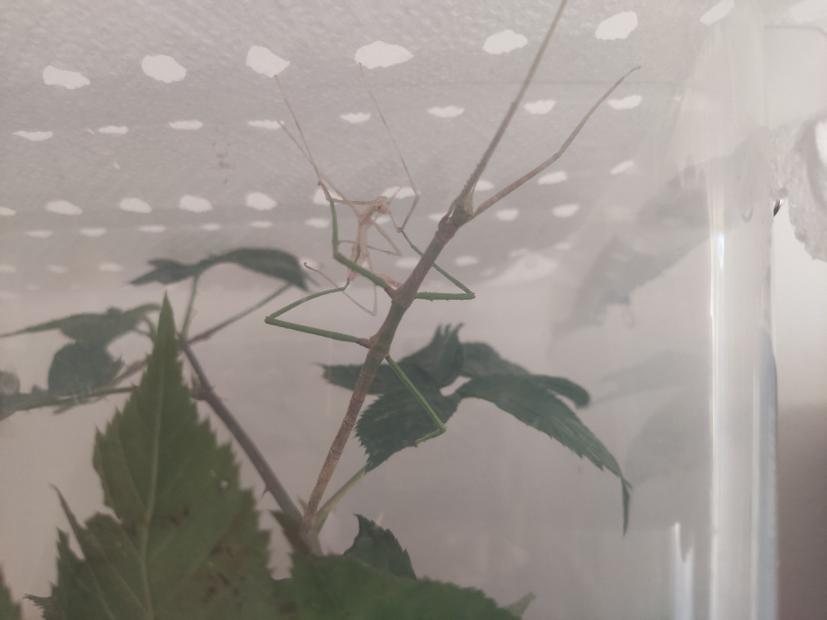 47901381-def3-4a05-9491-33c8cd6c1a87