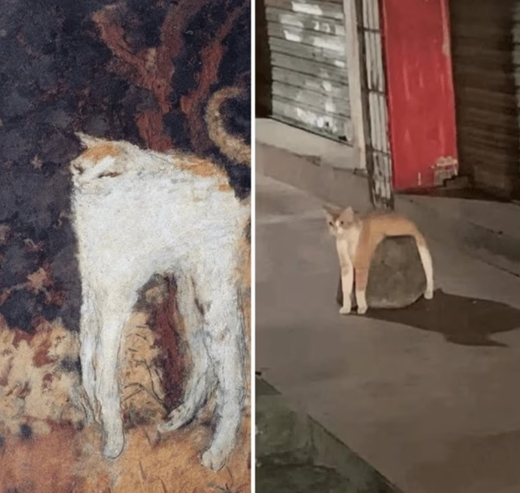 229b1c4d-47a0-4d2e-b142-b9a968496767