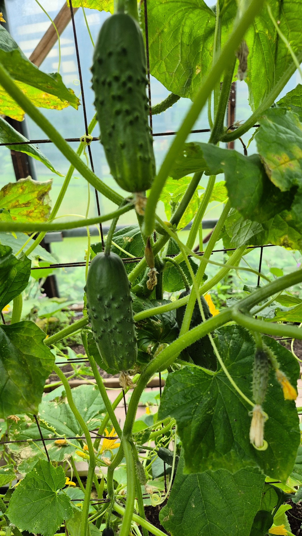 c62e17c8-7990-4add-bb8c-d2e01158afc1