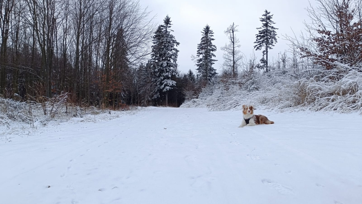 6ea3a0c9-2a15-400d-91d7-05be2363c01a