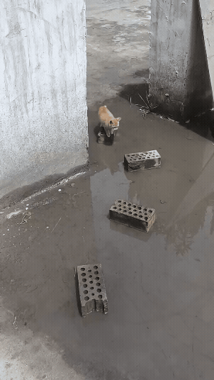 bab8c0dd-133d-4fc8-bad7-4e637549ad46