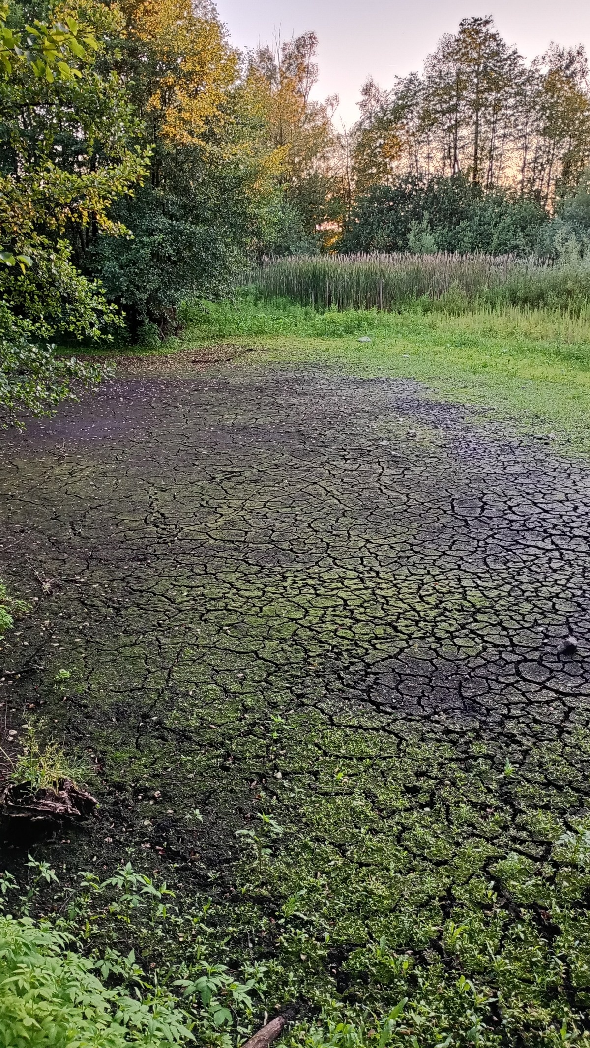 7e1c38c9-3336-4cd2-9a9c-5badc681df36