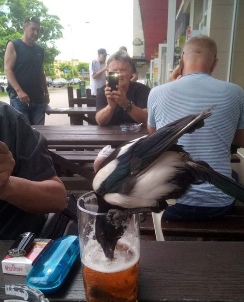 6890fcd3-630e-41bc-9eb3-32cd304cabfe