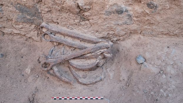 Odkryto kajdany sprzed 2200 lat w Egipcie. Co nam mówią o pracy w tym okresie? » Historykon.pl