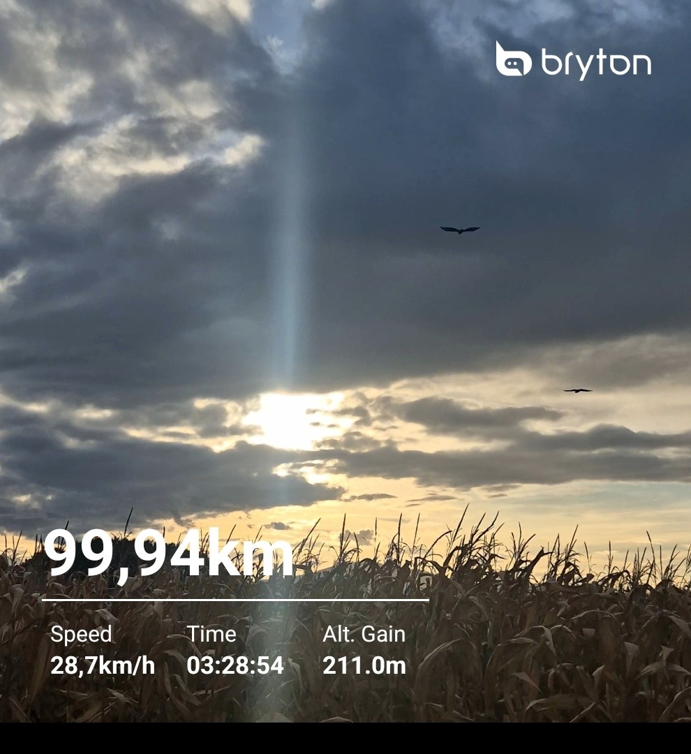 4c1612df-a504-452b-b6d3-82973befff31