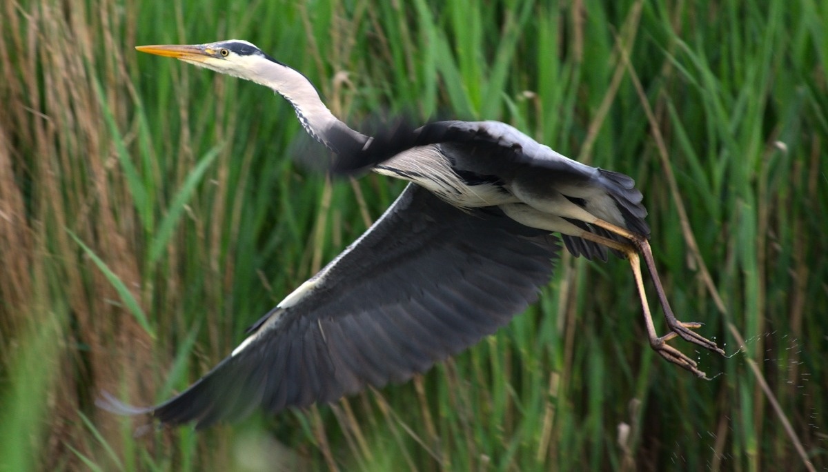 62d1ec2f-a675-4e4c-8c8b-fb9f3fab7f93