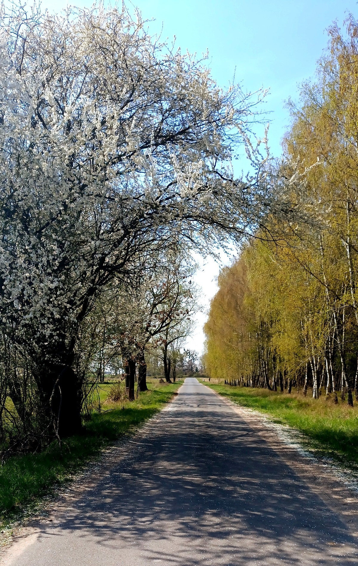 a6d3d82b-7670-4453-a51a-3f7271ea2fe3