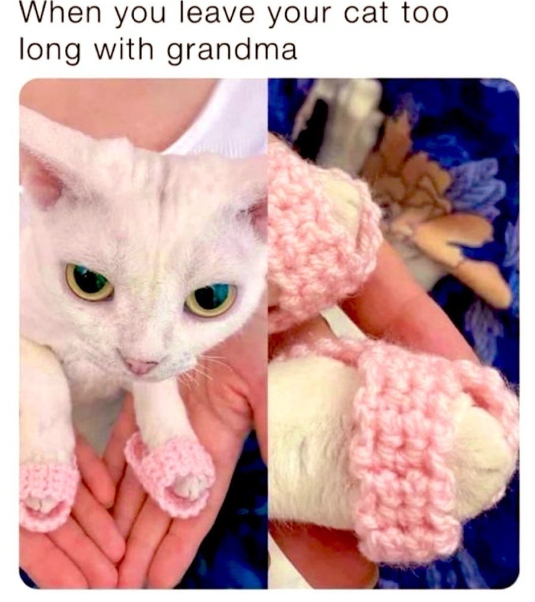 56d15775-feb6-4a1a-9601-e11a4af4e268