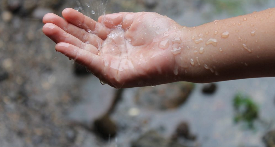 Fejk Tygodnia: Francja zakazuje używania... deszczówki - EURACTIV.pl