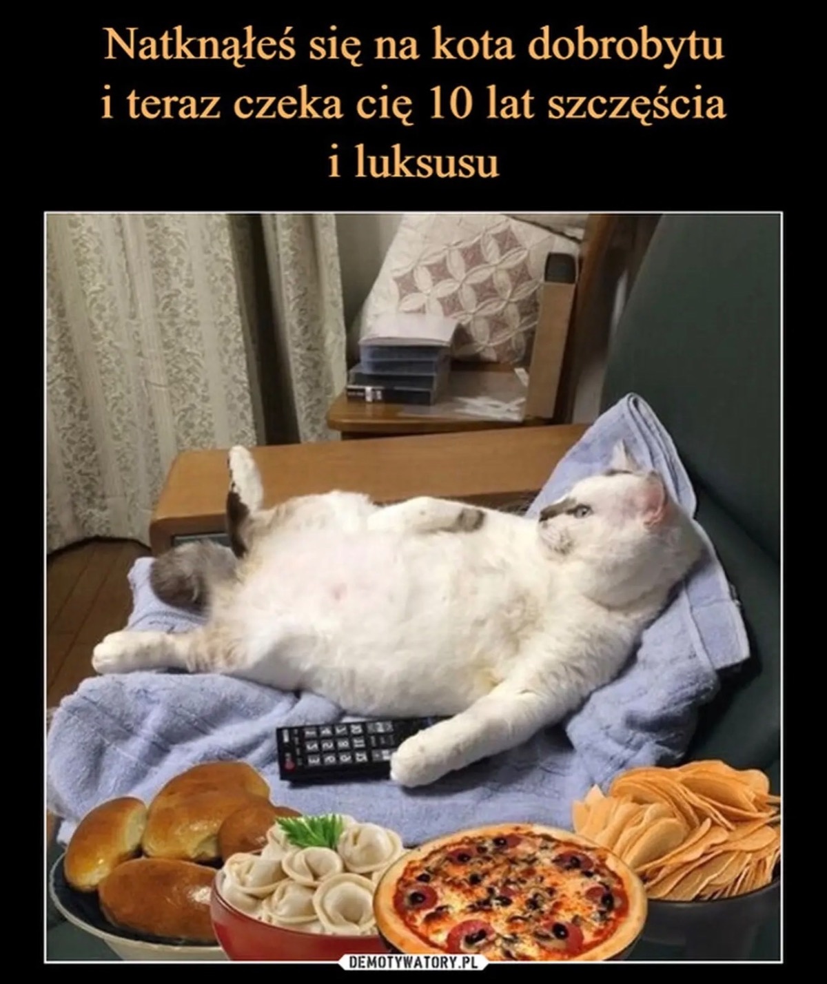 9881b124-299b-4587-b5b9-6544e00606a3