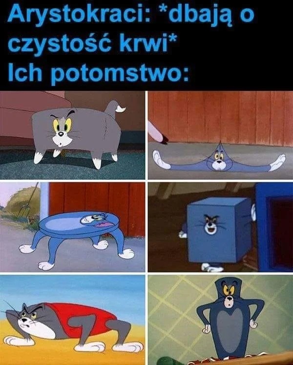 8a97ac17-33d1-48bf-8065-8240f64e2c3d