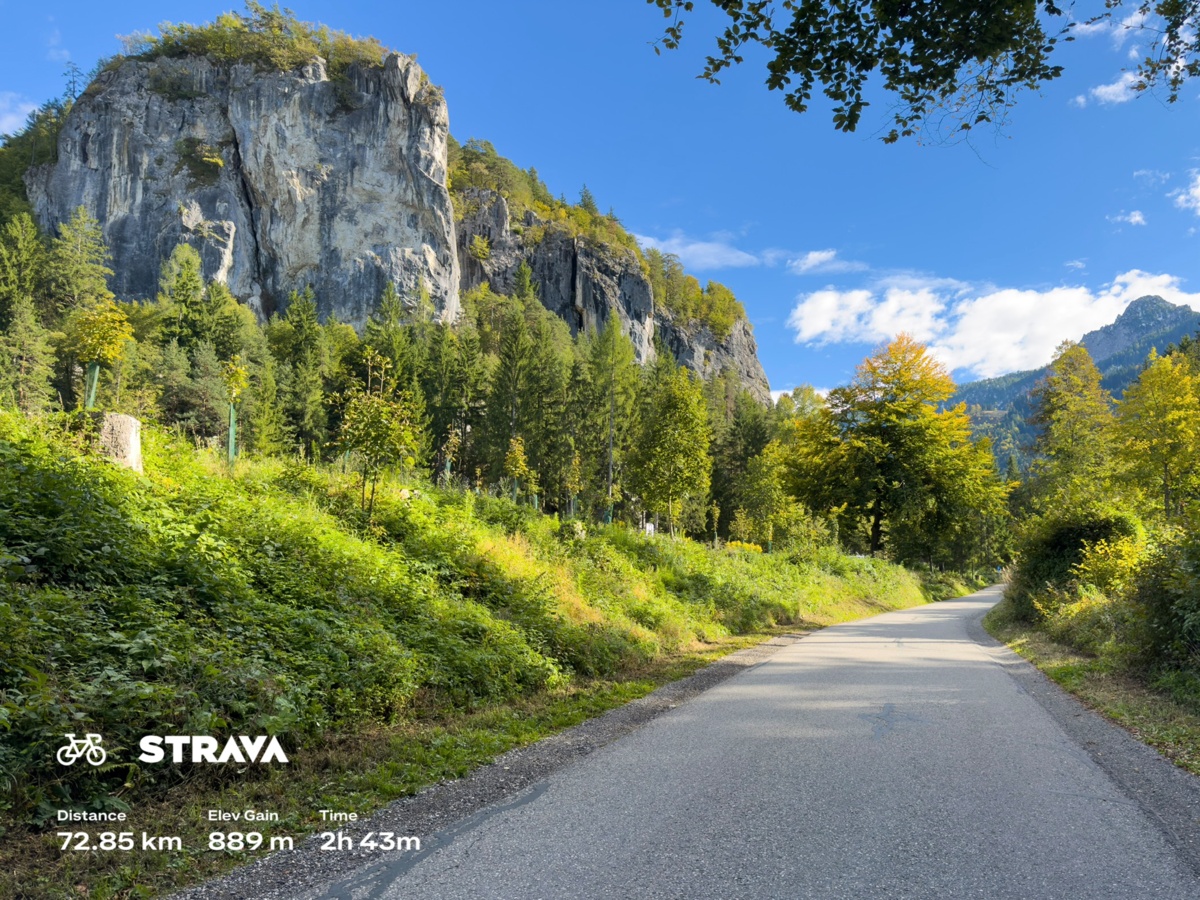 e63c1f7d-c18e-4714-a4c6-e1efd91042d2