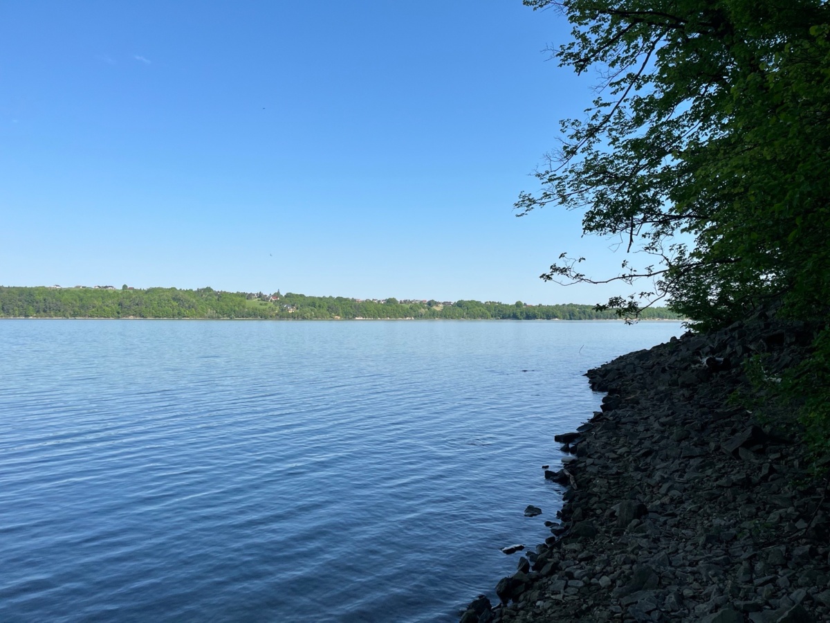 9aa51e1c-ab4a-4de5-b518-0bb2d2bd0b54