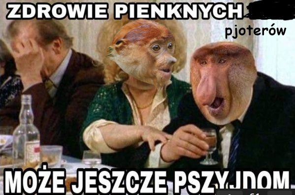 37a7e08d-55a2-4756-b6af-3a28026ac8f7