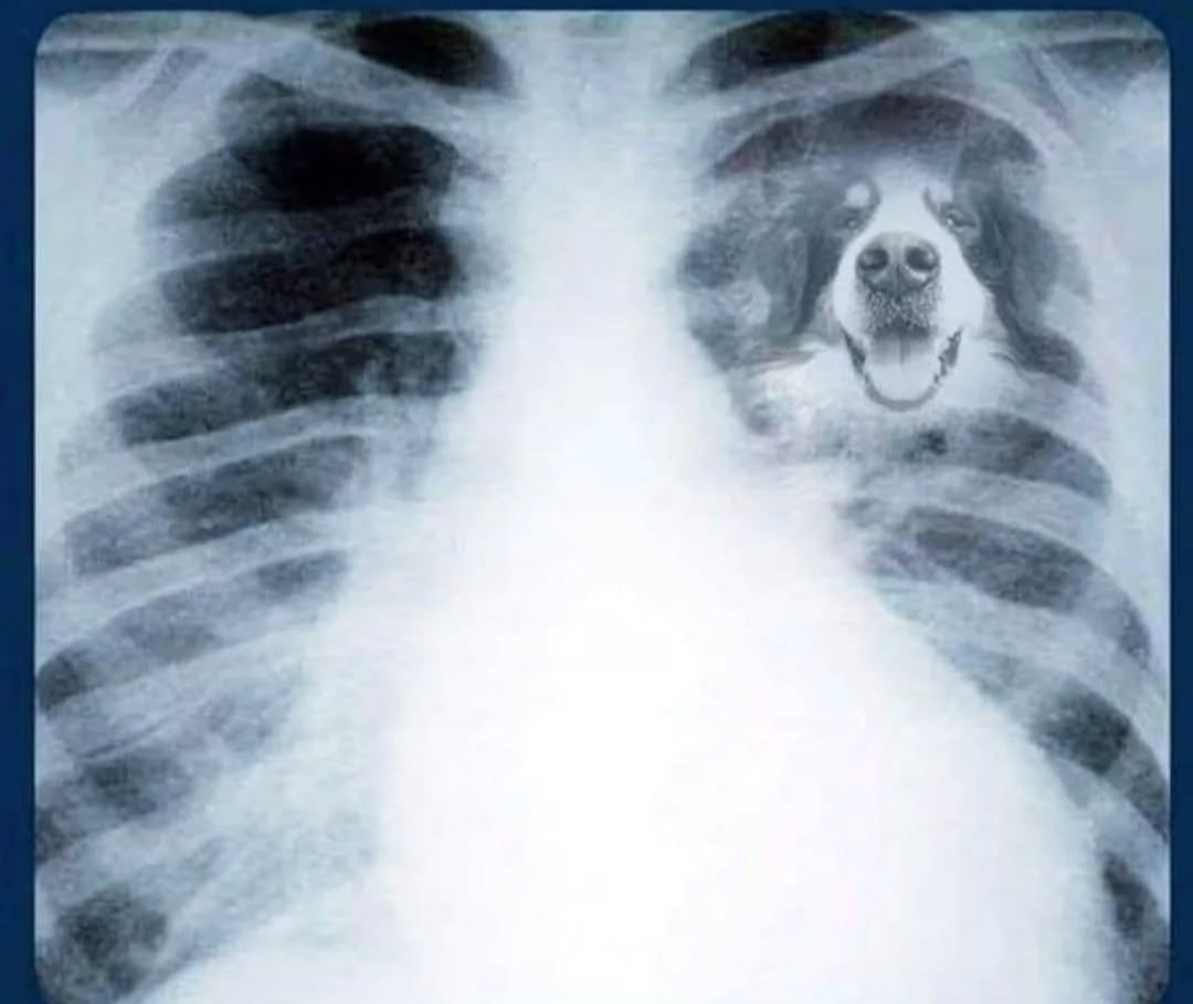 b7e7d79c-4037-4648-bef8-4a78dc22bb43