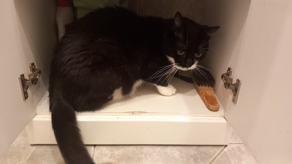 7bec8797-2a38-4404-877a-9245cd15dd92