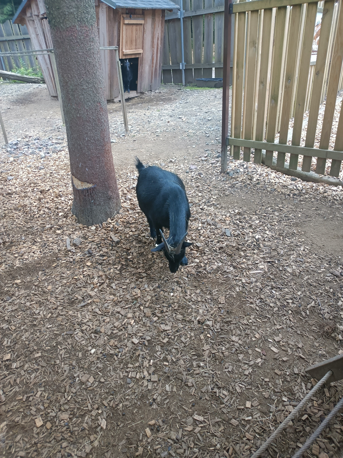 8f6b6add-fbb4-4bbe-a8d3-14018e5ca41c