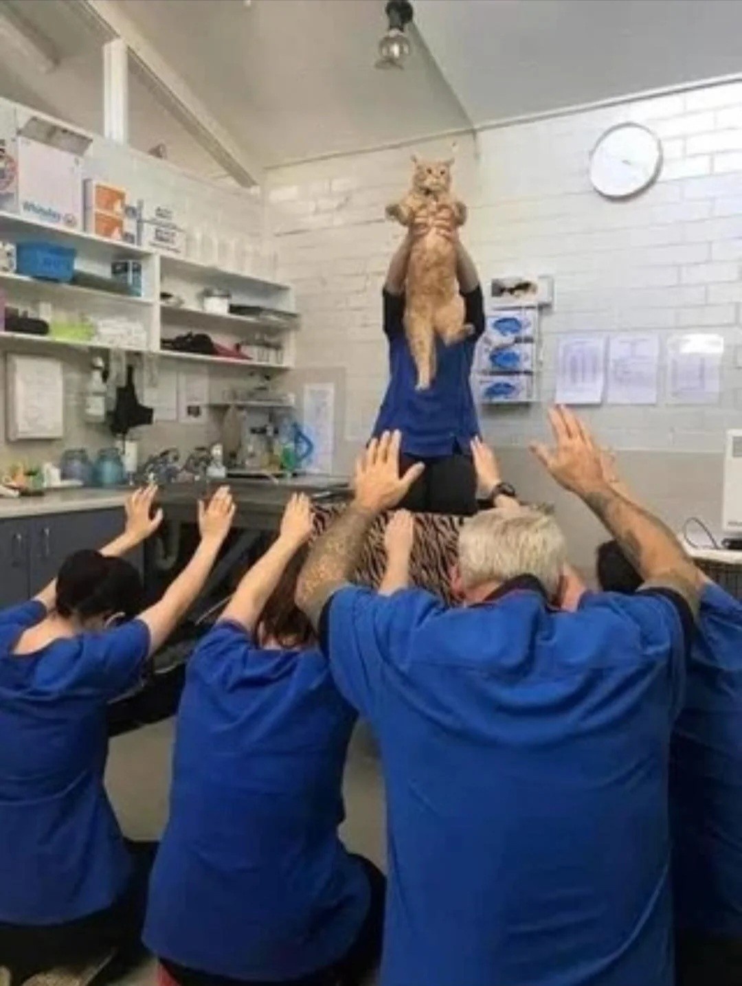 e8d7468d-83ce-454b-9eec-ce02d03d8e2c