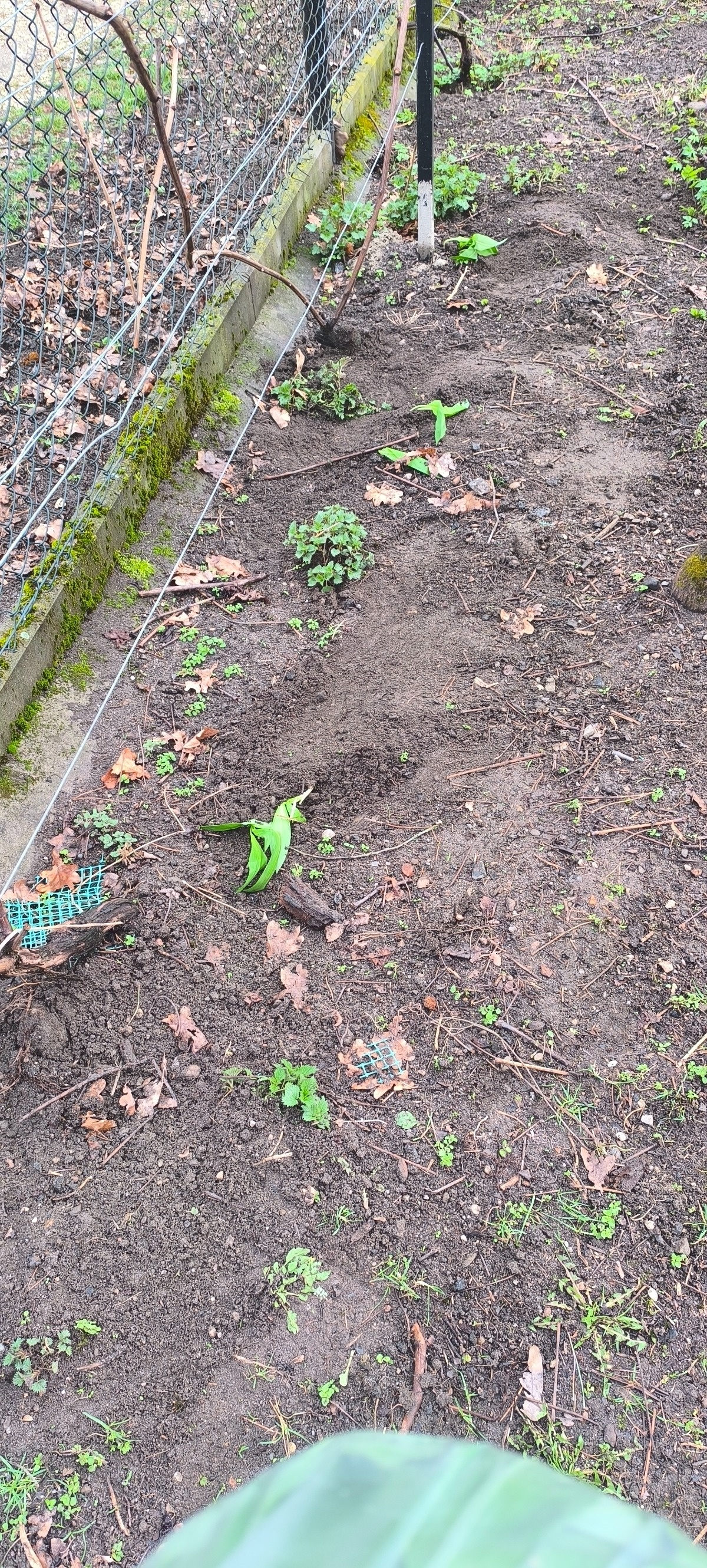 15291dd3-f827-49e7-8f47-4c60d64012fb