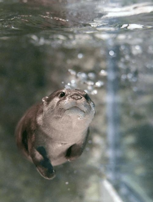 0cf568b5-5e61-48a0-a08a-67f684952b92