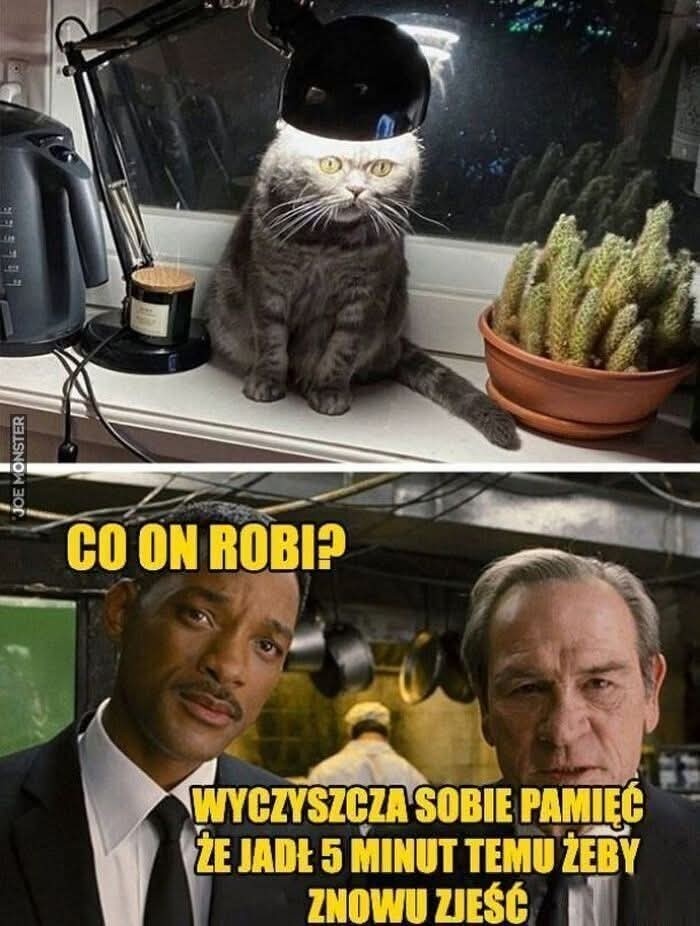 cd06fd11-eea3-4159-a540-17e316c76abb