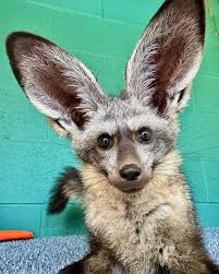 5c4db19e-5d57-403c-ae7e-3574255d78c7