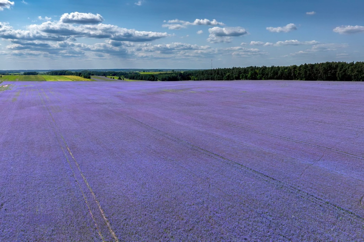 fef76b8c-7787-4fdc-bd41-9267473fa408