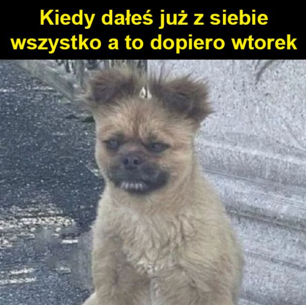 b8a42478-e2e6-439d-a9f6-30385c8dd0de