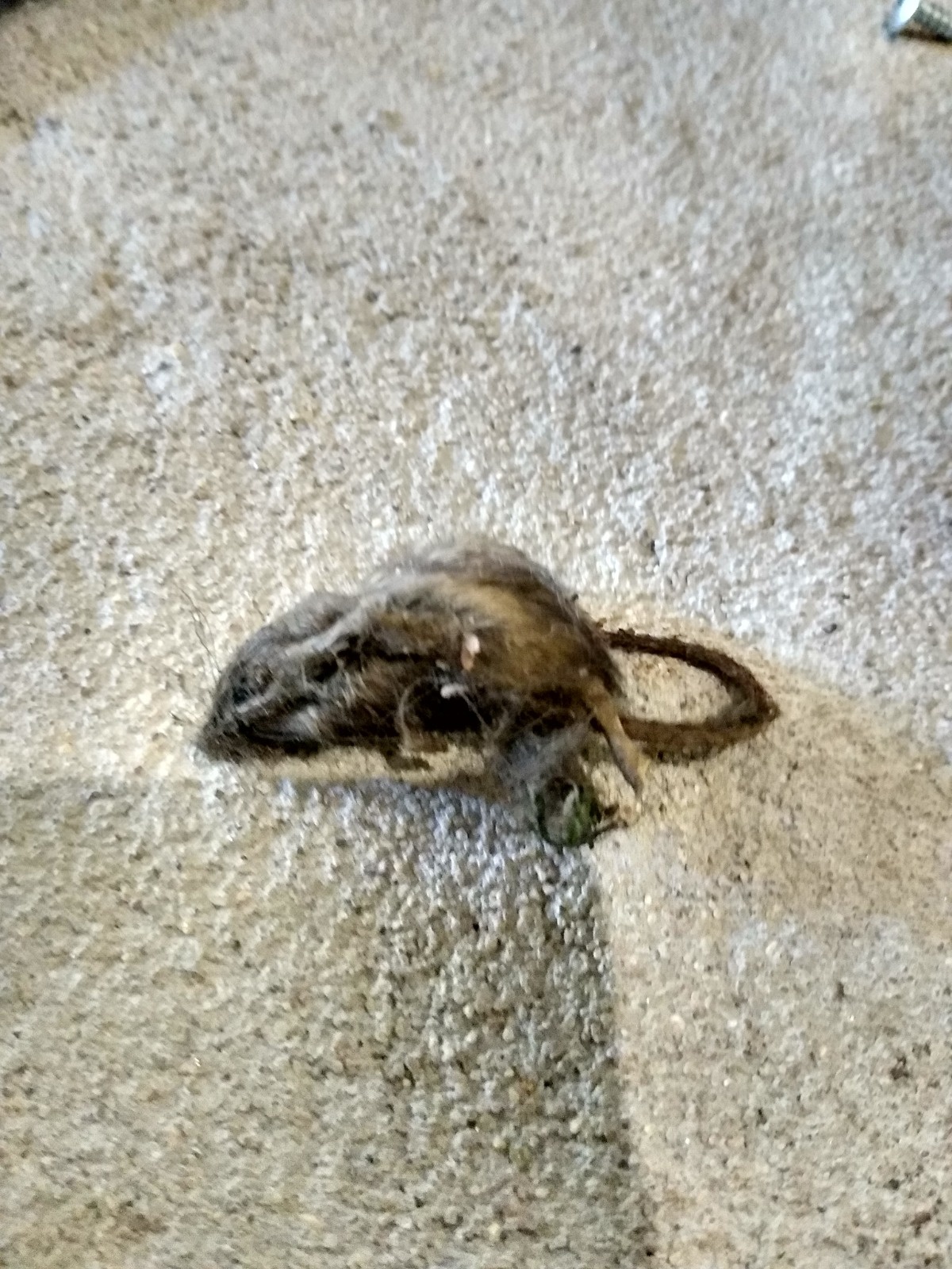 b3d81a3b-61d3-407d-91fb-c3cf2aa3246b