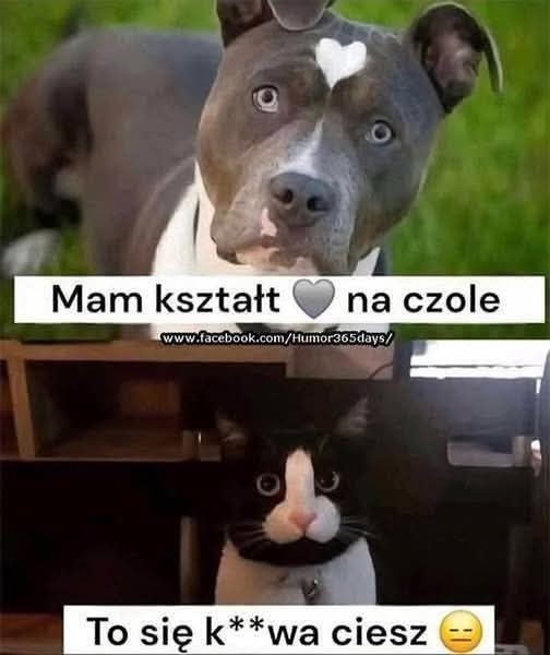 06268b18-4317-43aa-96db-2fecd297e604