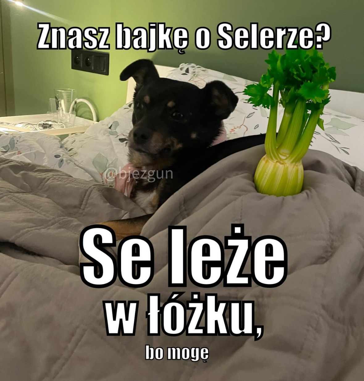 8aa44f55-70c8-4b30-ac00-df24d114d3a0