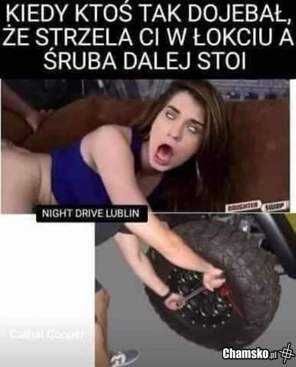 5469c44b-21d9-4cb4-930e-3378a6ea524d