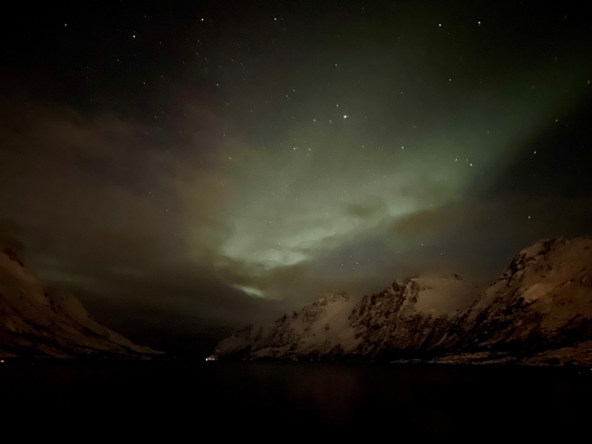 579f790b-ca44-42aa-944a-fe5c7e2a5f31