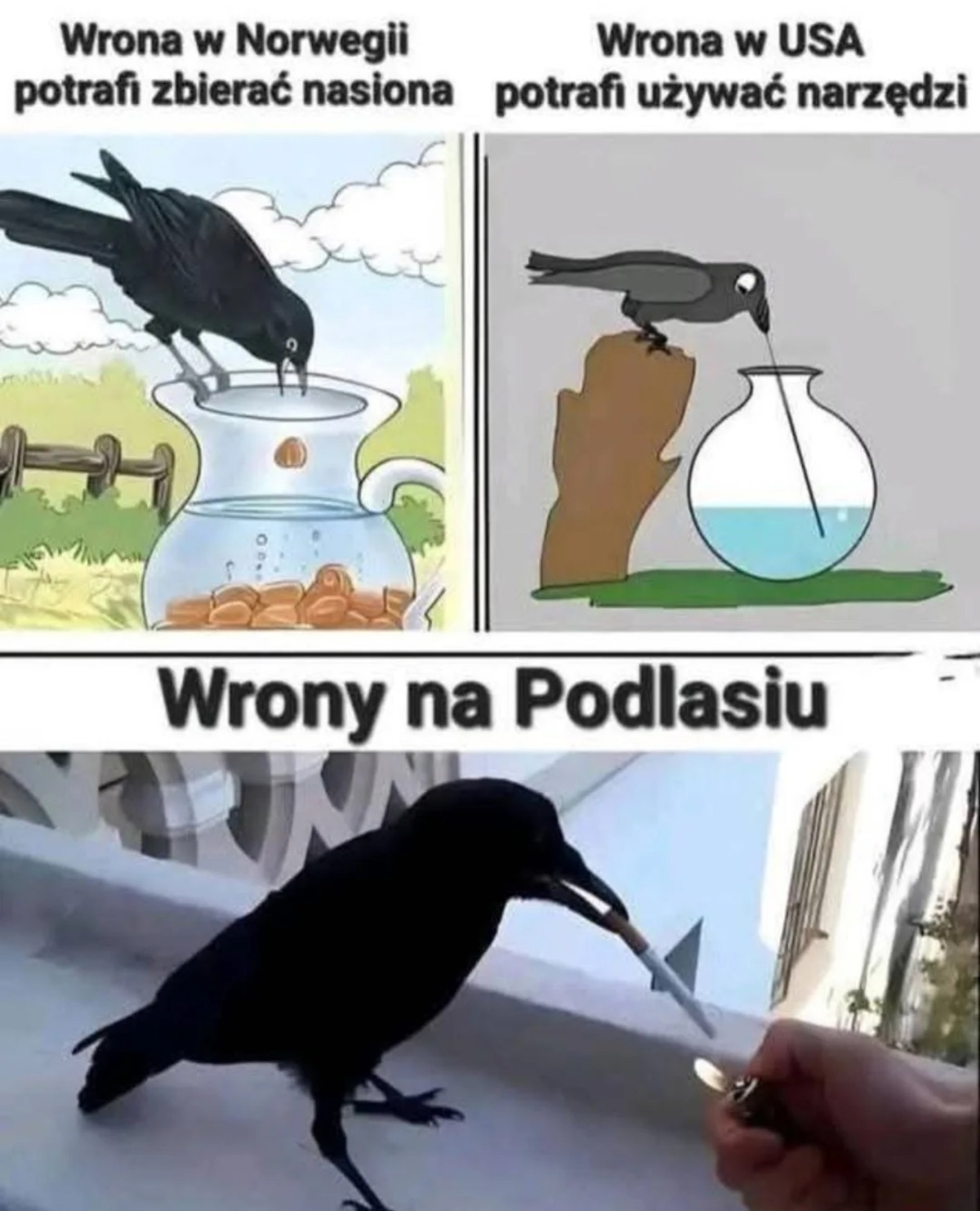 9b910873-d606-4e34-bc96-a71b23b228e0