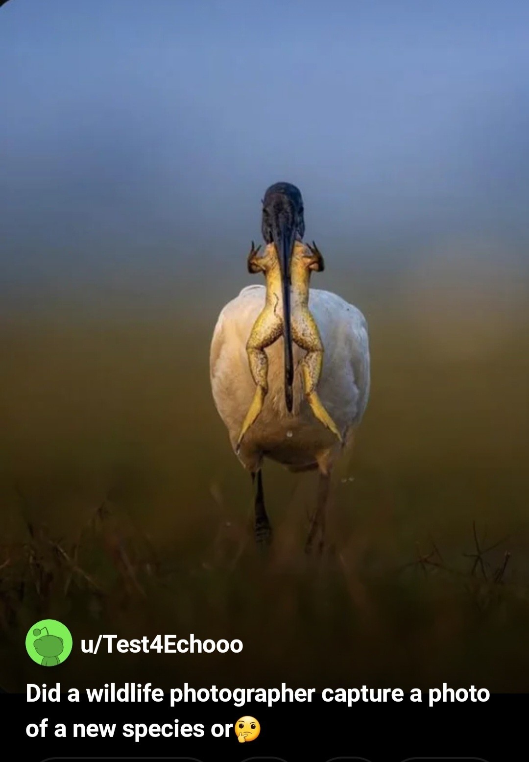 8fd60e4d-ed7b-49e9-850e-db779b0ed26f