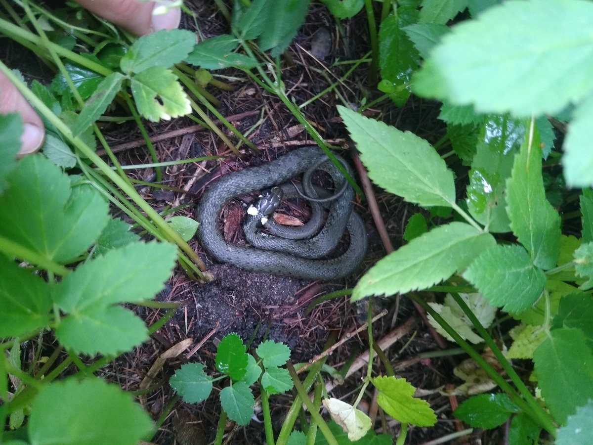 5fb062a1-2f3e-404e-9efd-be8be2ffc326