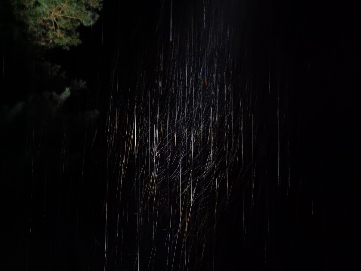 943bc254-db38-4157-8fe5-bb9967488a42