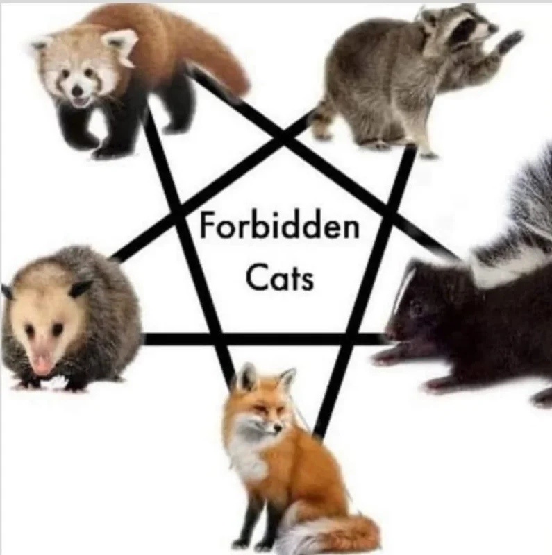 e7813c49-48fd-499b-94b2-69e73e6591b4