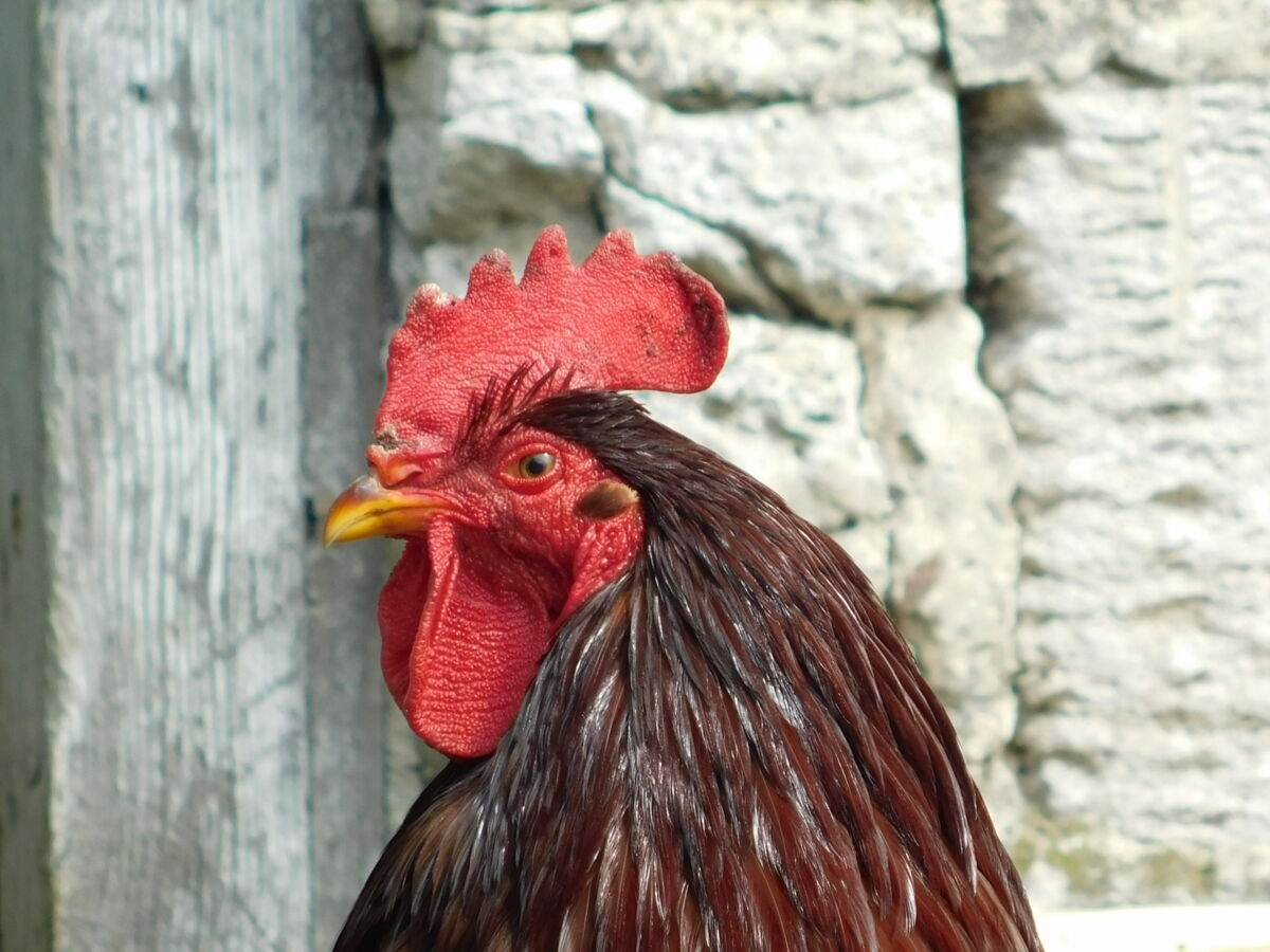 493961ee-3ea4-4df9-8d1d-36610135fa1d