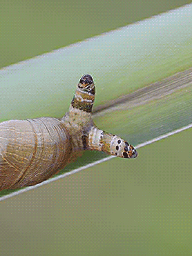 125ddef5-bcc1-46c8-8290-b87d3e42f9ad